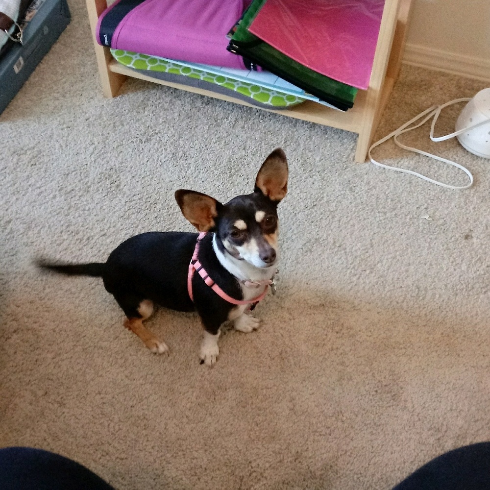 Meet your Posher, Kari